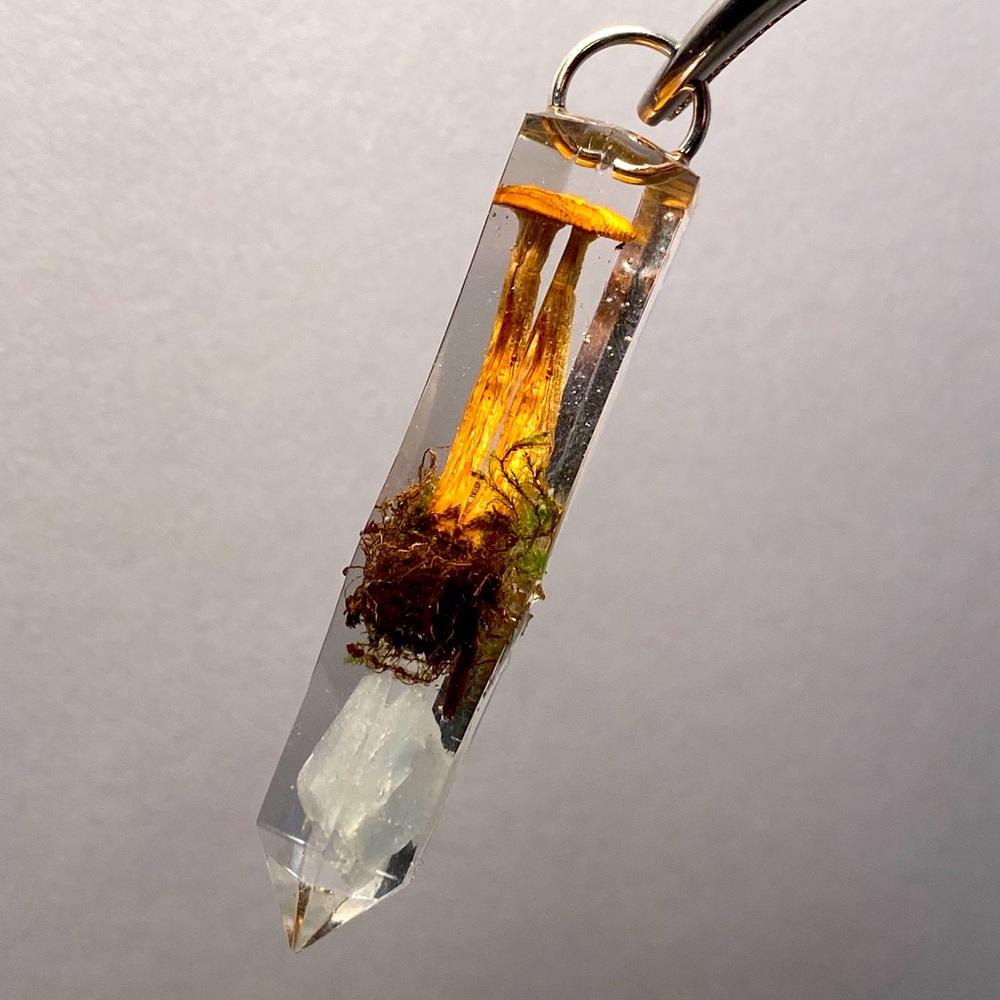 Mushroom and blue lace agate in Uv resin crystal